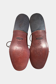 CLARUS Brown Brogues