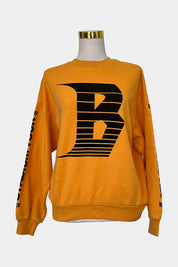 Divided By H&m Amber Sweatshirt