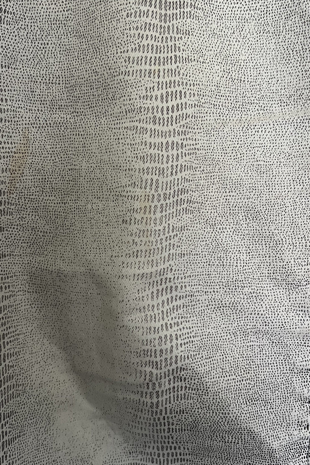 FLOG White & Grey Pants
