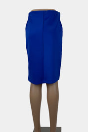 FATE Blue Skirt