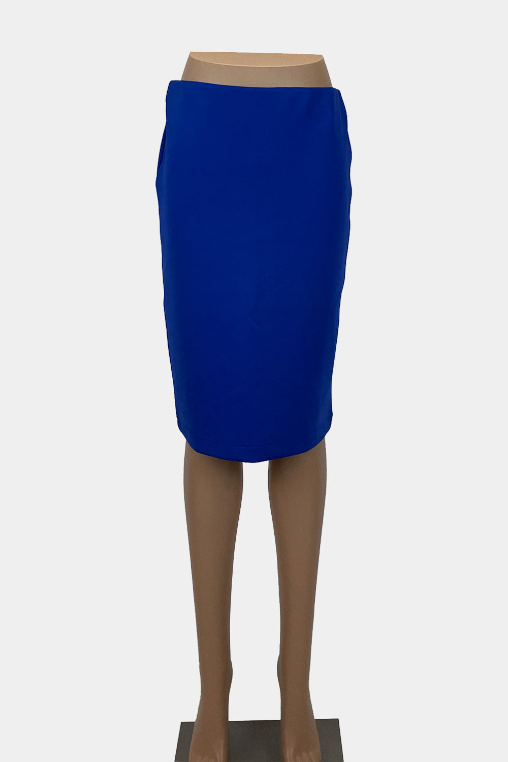 FATE Blue Skirt
